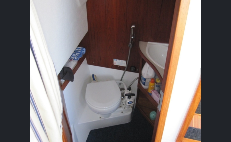 Albatross Flying 871-kuva-7